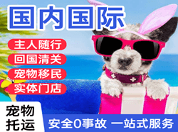 鸡西航空运输国际宠物托运 【国